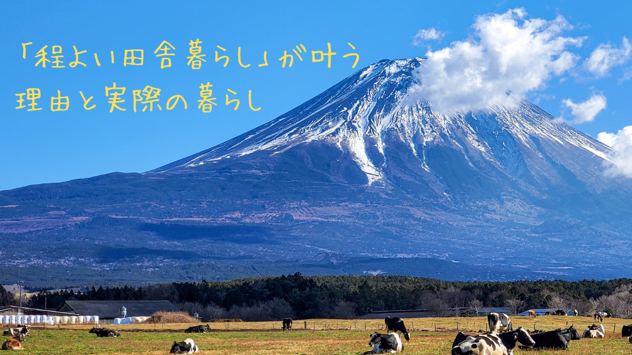 【静岡移住】程よい田舎暮らしが叶う理由と実際の暮らし